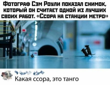 Фптпгпдш Вам Рпипи ппкп_3пп нимпк кптпиыи пи читяп мини и пнчшик пвпих ринит Сепия ни станции миг п Какая ссора это танго