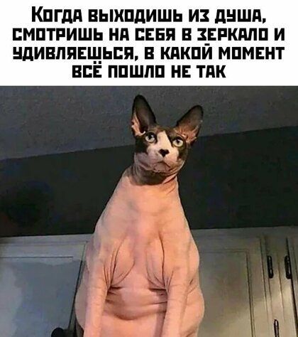 КПГдП ВЫХПдИШЬ ИЗ дНШП ПМПТРИШЬ Нд СЕБЯ В ЗЕРКАЛЕ И ЩИВЛПЕЩЬПП В КПКПЙ МПМЕНТ ВСЕ ППШЛШ НЕ ТПК
