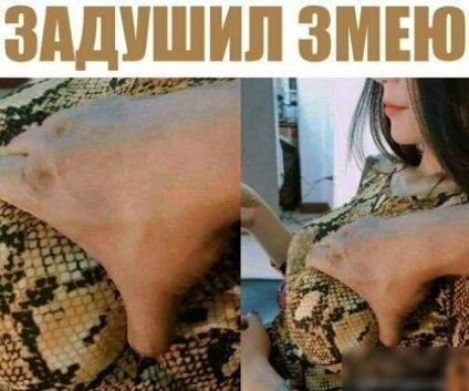 ЗАДУШИП ЗМЕЮ