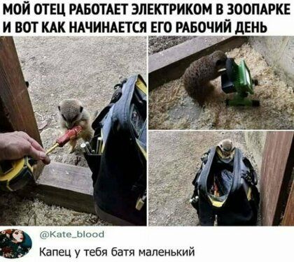 МОЙ ОТЕЦ РАБОТАЕТ ЭЛЕКТРИКОМ В ЗООПАРКЕ И ВОТ КАК НАЧИНАЕТСЯ ЕГО РАЕОЧИЙ ДЕНЁ в Капец у тебя батя Маленький