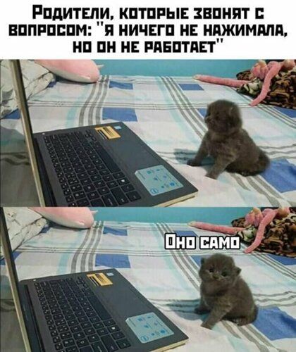 РПДИТЕЛПИ КПТПРЫЕ ЗЕПНПТ ЕППРПБПМ Я НИЧЕГП НЕ НЕЖИММП НП ПН НЕ РПЕПТПП