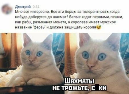 литий Мис интресно все эти борцы за юпераитось когда нибудь домрутся до шахмат Белые холм пешими пешки ряды рпмеиияя мои карими муж название Ферзь и должна защищагь хоронить Шдхмдты н тиджьтв ки