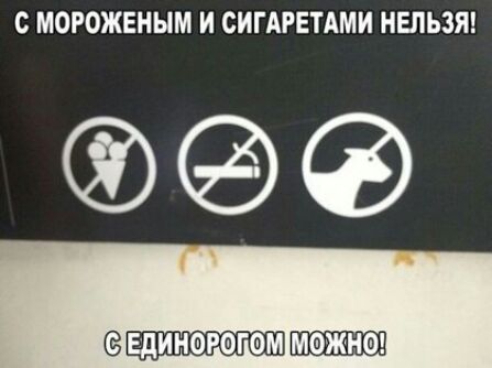 с МОРОЖЕНЫМ И СИГАРЕТАМИ НЕЛЬЗЯ ЕДИНОРФГФМ