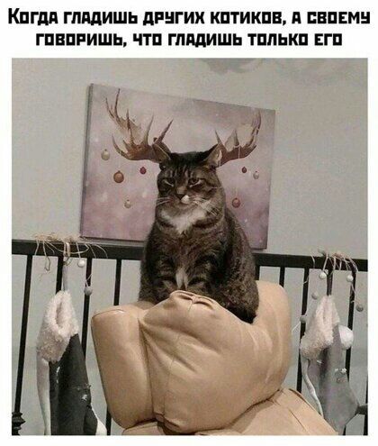 Кпгдя ГЛЩИШЬ дРНГИХ КПТИКПВ Я БВПЕМ ГПЕПРИШЬ ПП ГЛЩИШЬ ТПЛЬКП ЕГП