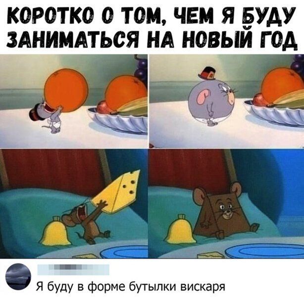 КОРОТК0 0 ТОМ ЧЕМ Я БУДУ ЗАНИМАТЬСЯ НА НОВЫМ Г ОА О Я буду в форме бутылки вискаря
