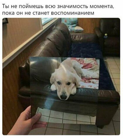 Ты не поймешь впо значимопь момента пока он не станет воспоминанием