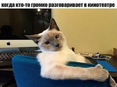 когда итпто ИММО ПЕЗЮВЗПИВЗЩ В КИИШВВТПЕ