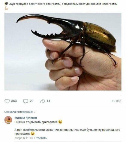 р шгимм дппдцмьмемгдвапыми кипиірямм 363 29 и с МихаилКумюв Пивчикигкрычпьгритдисп паи юыодимоти и юпапилвиикв ещбшылачкугрохмпиого и и щ