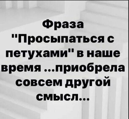 Фраза Просыпаться петухами в наше время приобрела совсем дРУгой смысл