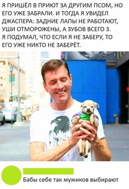 Я ПРИШЁЛ В ПРИЮТ ЗА ДРУГИМ ПСОМ НО ЕГО УЖЕ ЗАЕРАЛИ И ТОГДА Я УБИДЕЛ ДЖАСПЕРА ЗАДНИЕ ЛАПЫ НЕ РАБОТАЮТ УШИ ОТМОРОЖЕНЫ А ЗУБОВ ВСЕГО 3 Я ПОДУМАЛ ЧТО ЕСЛИ Я НЕ ЗАВЕРУ ТО ЕГО УЖЕ НИКТО НЕ ЗАВЕРЁТ Бабы себе так мужиков выбирают