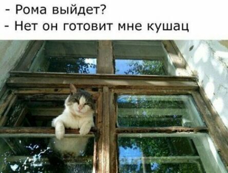Рома выйдет Нет он готовит мне кушац