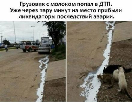 Грузовик молоком попал в дтп Уже через пару минут на место прибыли ЛИКВИДЗТОРЫ ПОСЛЕДСТВИЙ аварии