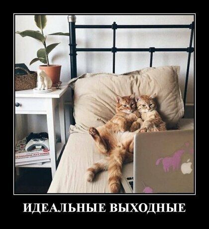 ИДЕАЛ ЬНЫЕ ВЫХОДНЫЕ