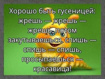 Хорошо бйь гусеницей жрёсавица