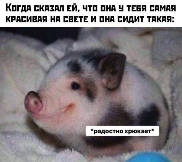 Кпгдд кпздп ЕЙ чтп ции твня дмдя кпппивдя нд пвп и пил сидит тдкдя