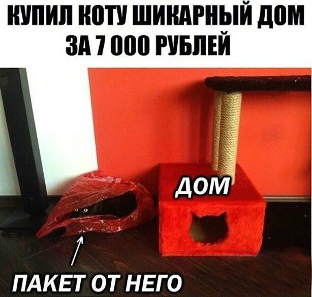 ШШШ НВП ШИНАРНЫЙ дом зд 7 000 РУБПЕИ ПАКЕТ ОТ НЕГО