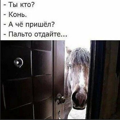 Ты кто Конь А чё пришёл Пальто отдайте
