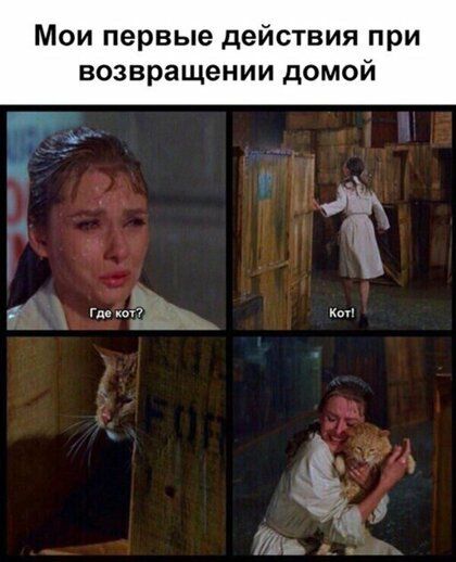 Мои первые действия при возвращении домой 1