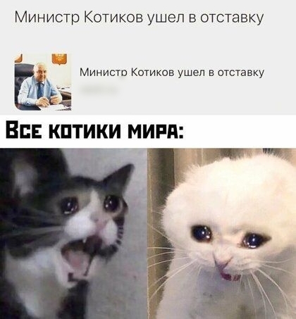 Министр Котиков ушел в отставку Ё _1 Министр Комков ушел в отставку ЁЁ В кптики мини _ тг