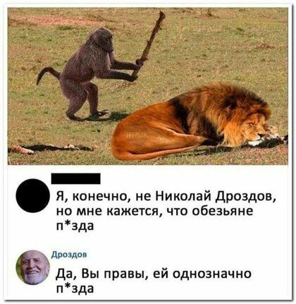 Я конечно не Николай дроздав но мне кажется чю обезьяне пзда даешь Да Вы правы ей однозначно пзда