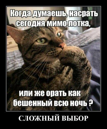или же орать наи башенный всю иочьэ СЛОЖНЫЙ ВЫБОР