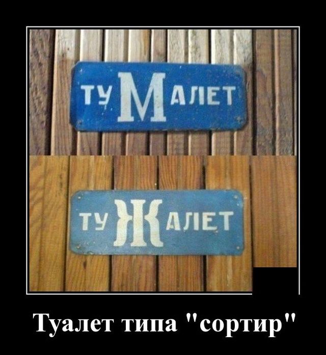 іншигщитёж _ і _ і у г г _ ТУалет типа сортир