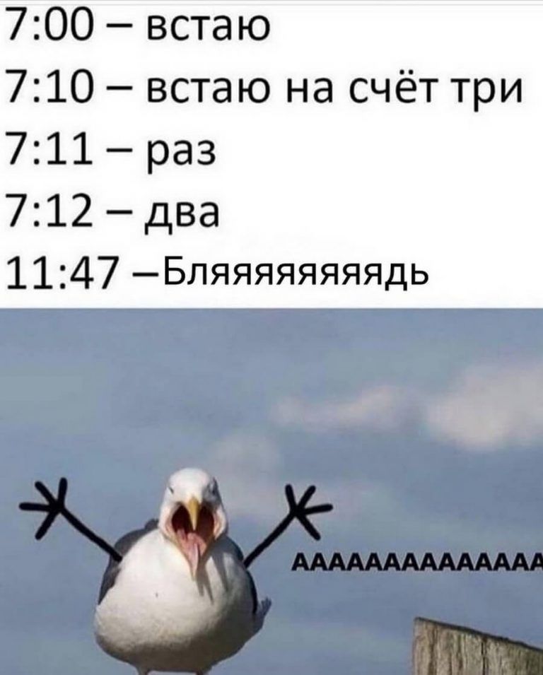700 встаю 710 встаю на счёт три 711 раз 712 два 1147 Бляяяяяяяядь
