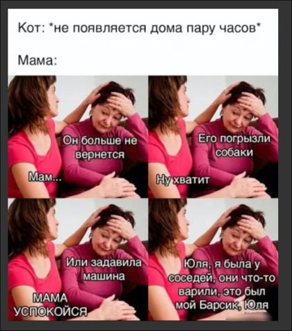 Кот не появляется дома пару часов Мама мд Омбспьше е Его погрызічи гвериечси собаки идиаадавипа Юляжбыпау машина соседей они чо гс Мдмд игры то устзкожя мои БарсикаЮпя