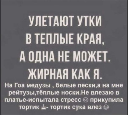 УЛЕТАЮТ УТКИ В ТЕПЛЫЕ КРАЯ А ОДНА НЕ МОЖЕТ ЖИРНАЯ КАК Я На Гоа медузы белые пески на мне рейтузьътёппые носкиНе впезаю н платье испытала стресс прикупила тортик Ь тортик сука влез