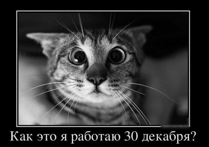 Как это я работаю 30 декабря