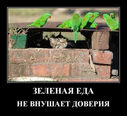 ЗЕЛЕНАЯ ЕДА НЕ ВНУШАЕТ ДОВЕРИЯ