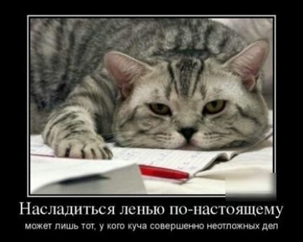 НЦСЛЗДИТЬСЯ ПСПЬЮ ПОПЦСТОЯШСМУ может лишь тт у кого куча совершение неотложных пел