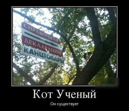 Кот Ученый он существует