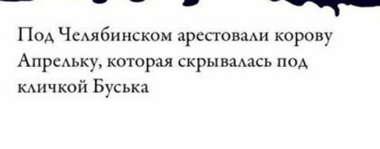__ _ Под Чембинском аресговми корову Апрельку которая скрывшись под КАИЧКОЙ Буська