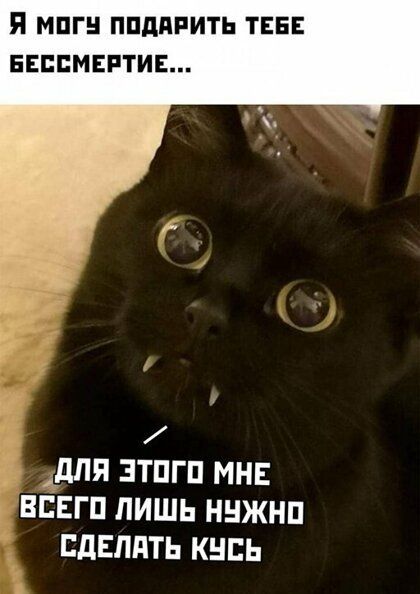 Я МПГ ППДПРИТЬ ТЕБЕ ЕЕВСМЕРТИЕ дПЯ ЗТПГП МНЕ ВСЕГП ЛИШЬ ННЖНП БдЕЛдТЬ КНЕЬ