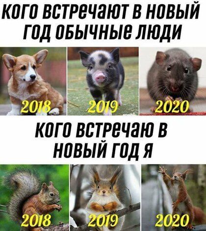 КПГ 0 ВСТРЕЧЯЮТВ НПВЫЙ ГПД ПБЫЧНЫВ ЛЮДИ кого встречаю в нивый гид я
