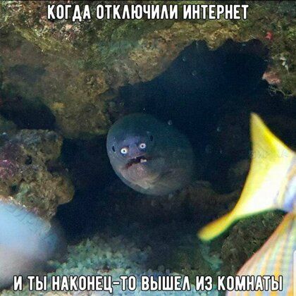 Помни что сплетни разносятся недоброжелателями распространяются дураками и им верят лишь идиоты