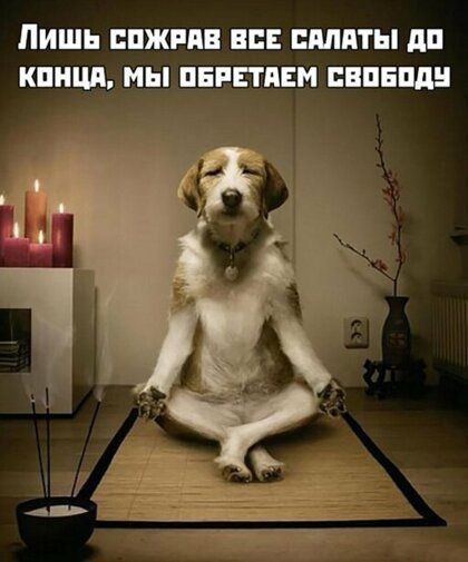ЛИШЬ ППЖРПВ НЕЕ ЕМПТЫ дп КШЩП МЫ ПЕРЕМЕН ПИШЕМ