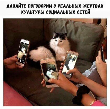 ДАВАЙТЕ П0Г080РИМ 0 РЕААЬНЫХ ЖЕРТВАХ КУЛЬТУРЫ СОЦИАЛЬНЫХ СЕТЕЙ
