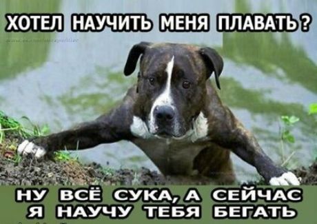 ХОТЕЛ НАУЧИТЬ ПЛАВАТЬ