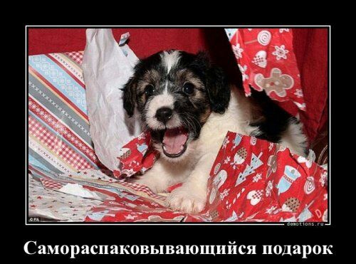 Самораспаковываюшийся подарок