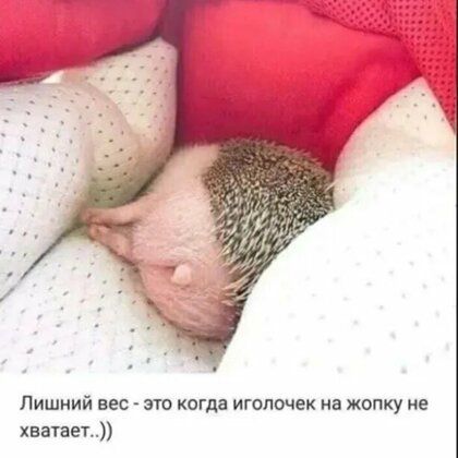 Лишний вес по когда иголочек иа жопку не хватает