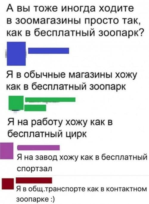 А вы тоже иногда ходите в зоомагазины просто так как в бесплатный зоопарк Я в обычные магазины хожу как в бесплатный зоопарк Я на работу хожу как в бесплатный цирк _ Я на завод хожу как в бесплатный спортзал _ Я в общтранспорте как в контактном зоопарке