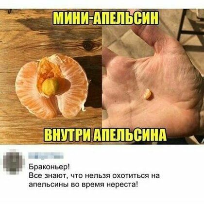 Брашньер Все знают что нельзя охотиться на апельсины во время нереста