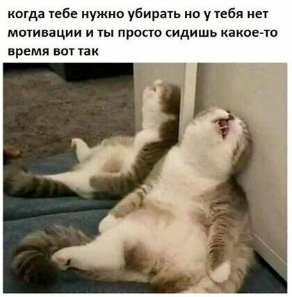 когда тебе нужно убирать но у 1ебя нет мотивации и 1ы просто сидишь какое то время вот так