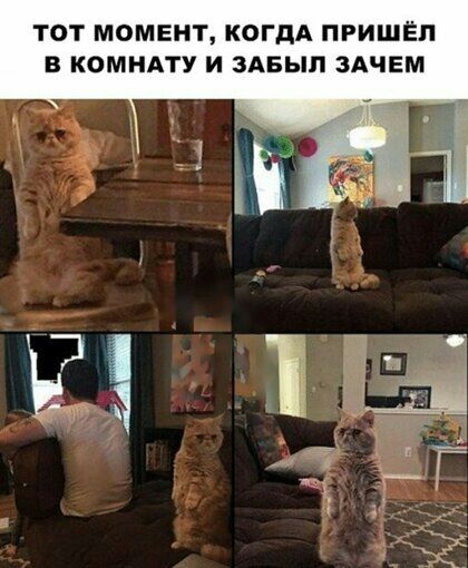 ТОТ МОМЕНТ КОГДА ПРИШЁП В КОМНАТУ И ЗАБЫЛ ЗАЧЕМ