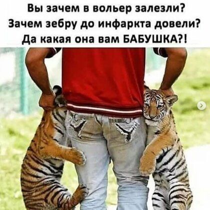 Вы зачем в вольер залезли Зачем зебру до инфаркта довели да какая она вам БАБУШКА