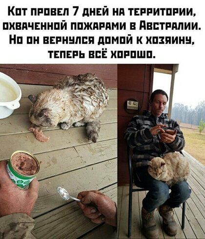 Кпт пгпвсп 7 днвй нп тпгитпгии пхндчвнипй ппжппями Пвптиппии ип пн ввпинппя дпмпй к хпхпиин тнпвпь всЁ хпппшп