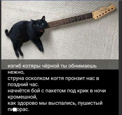 нежно струна осколком когти пронзит нас в поздний час начнётся бой с пакетом под рик в ночи кромешнсй как здорово мы выспапись пушистый пидарас