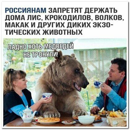 РПССИЯНАМ ЗАПРЕТПТ дЕРЖАТЬ дПМА ЛИС КРОКОДИЛПВ ВОЛКОВ МАКАК И дРУГИХ ДИКИХ ЭКЗО ТИЧЕСКИХ ЖИВОТНЫХ і ЬМЕдВЕдЁИ